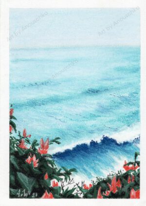 Coastline